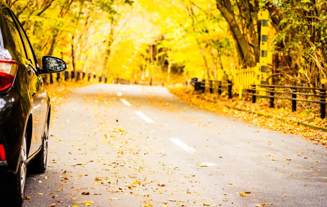 Consejos para poner el coche a punto en otoño